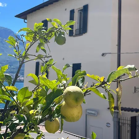 아파트 Domus Graziana - Front Oliveto Lario